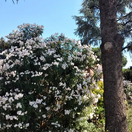 La Casa Degli Oleandri